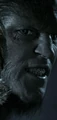 Fenrir Greyback HBP.jpg