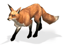 Fuchs.gif