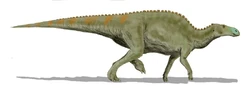 Edmontosaurus BW.jpg