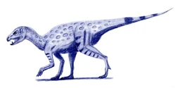 Heterodontosaurus.jpg