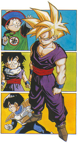 Dragon Ball  A verdadeira origem do nome de Gohan - e não é por causa do  avô de Goku!