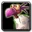 Inv pet egbert