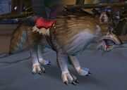 Brown Wolf
