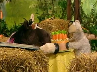 Folge2480-6