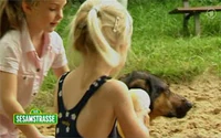 Folge2481-7