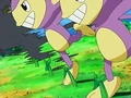 EP506 Aipom a punto de tropezar con hierba lazo.png