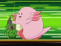 EP499 Chansey usando doblebofetón