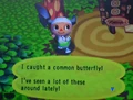 Common Butter.jpg