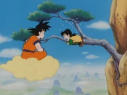 Nimbus