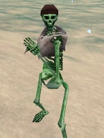 Skeletal Mate Live