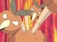 Dodrio de Gary