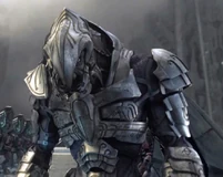 Arbiter Closeup Apex