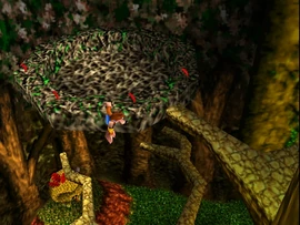 Eyrie's Nest