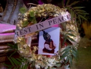 Leader-of-the-pack-rip