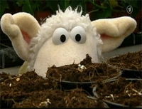 Folge2482-8