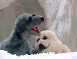 Jambalaya-seals3.jpg