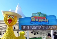 Sesame-street-beach-7