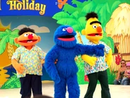 Sesame-street-beach-8