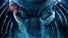 Predator.jpg