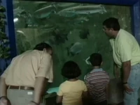PSAquarium