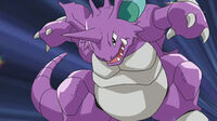 Nidoking de Paul/Polo