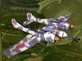 Plane Kestrel.jpg