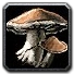 Inv mushroom 01.png