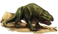 Dewback