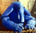 OrtolanMaxrebo