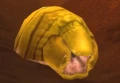 Borelgore.jpg