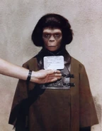 Costume Test16