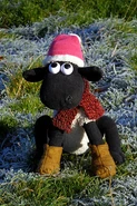 Shaun in the Winter