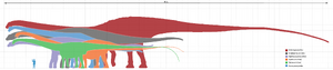 Longest dinosaurs1