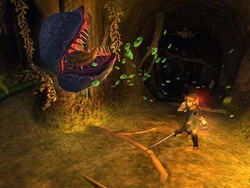 Lantern Cavern