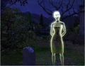 Vein Ghost