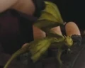 Dragon model welsh green 1.jpg