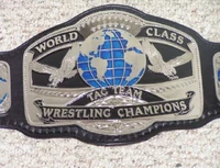 WCWA World Tag Team Championship