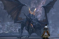 Ancient Dragon