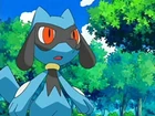 Riolu de Ash