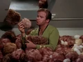 Kirk surrounded by Tribbles.jpg