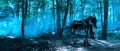 Thestral on land.gif