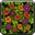 Inv misc trailofflowers.png