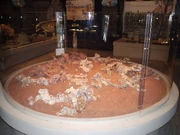 Dinodontosaurus museu2x