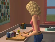 Jessica Peterson Cooks