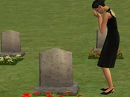 Etokas Cho Died