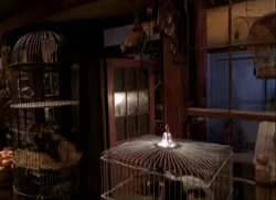 MagicalMenagerie