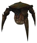 Gonarch model
