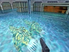 Bullchicken underwater