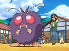 Venonat con Conway