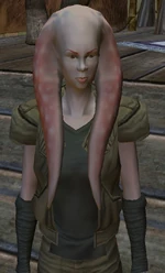 Yraka Nes.jpg
